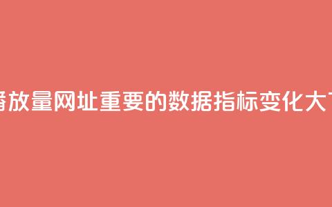 快手播放量网址:重要的数据指标变化大 第1张 快手播放量网址:重要的数据指标变化大 第1张
